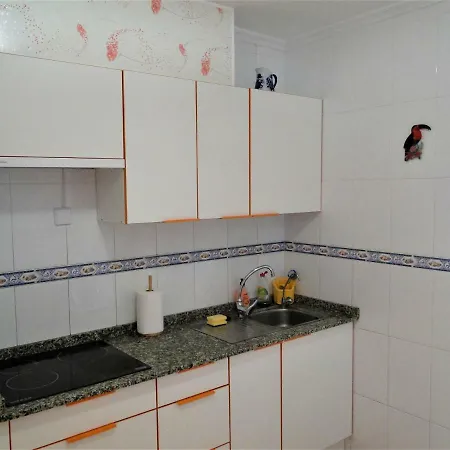 Apartamento Travesia Gabino 또레비에하